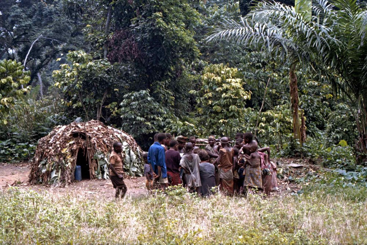 Лес Итури Конго