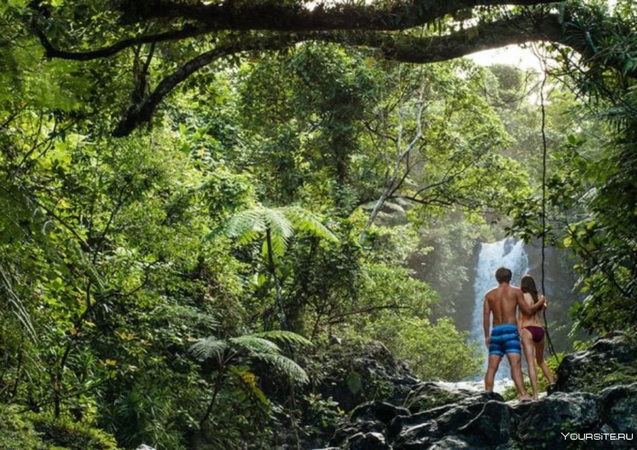 Путешествие в джунгли