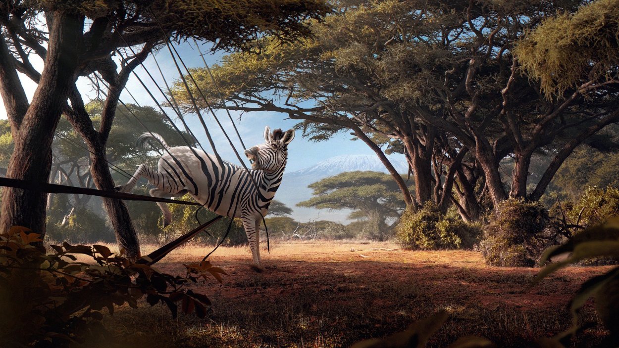 Джунгли Африки