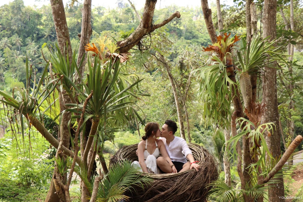 Сапинидо Бали