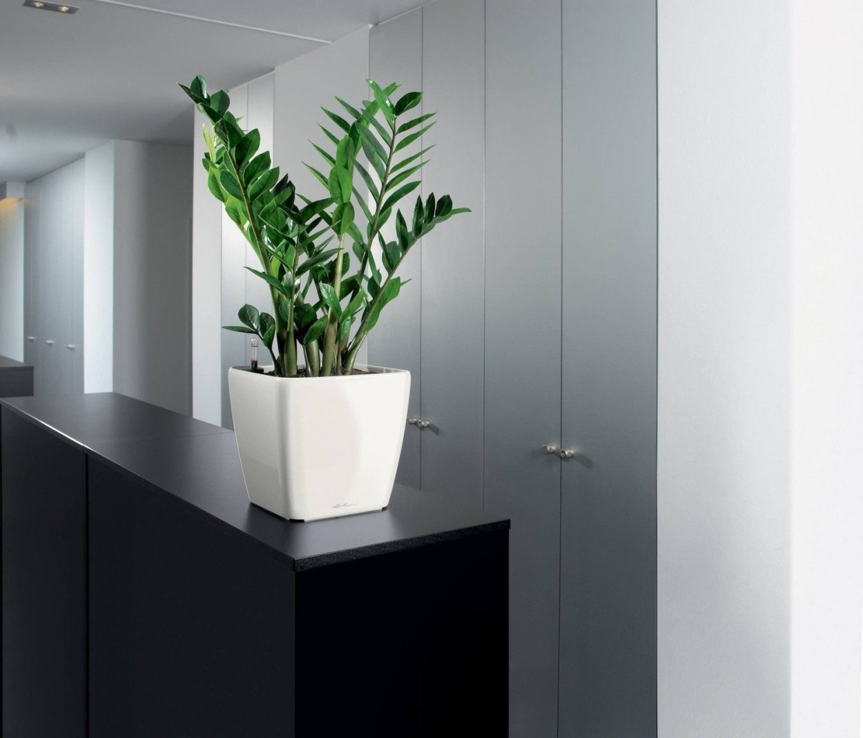 Кашпо Лечуза Квадро