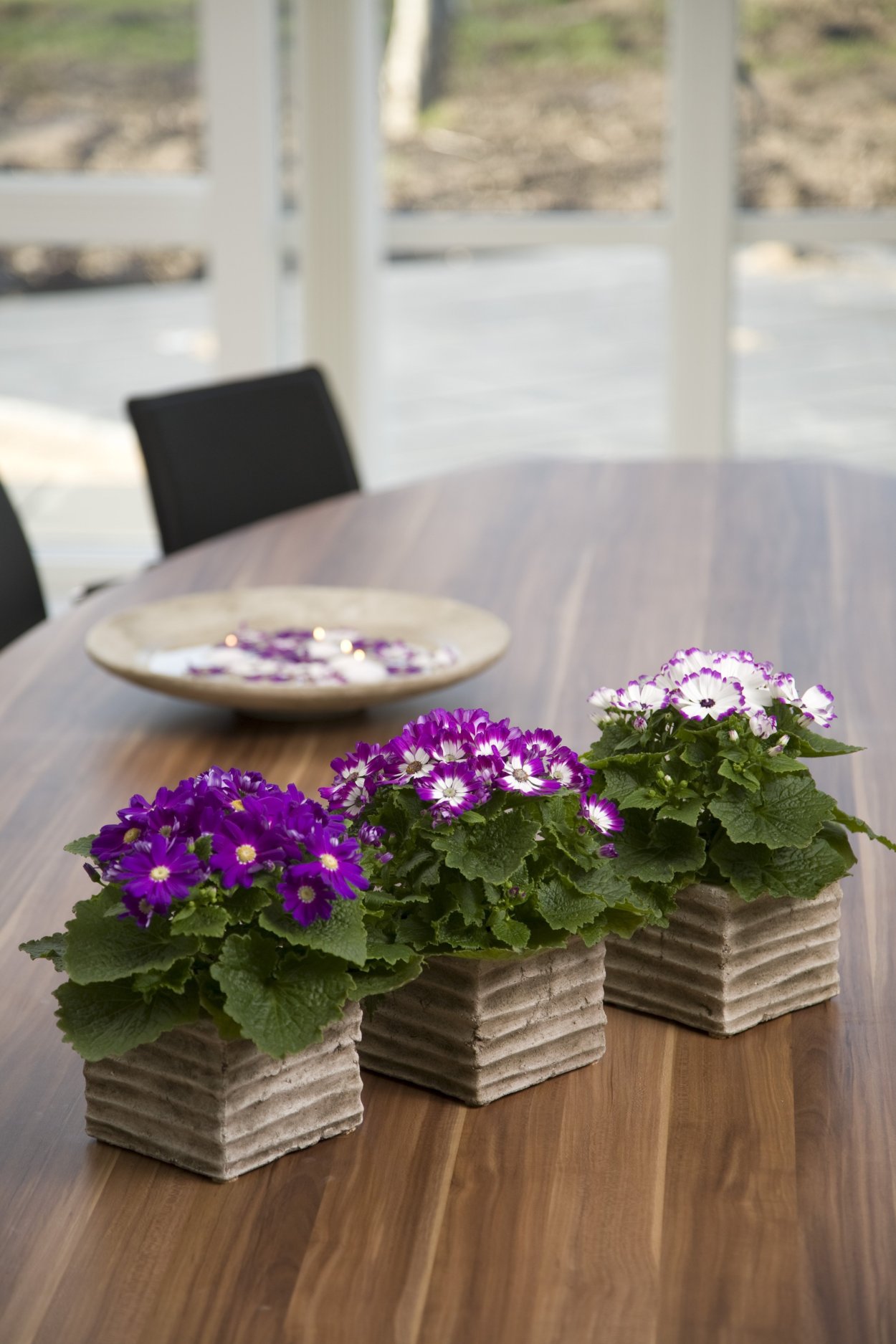 Кашпо для фиалок