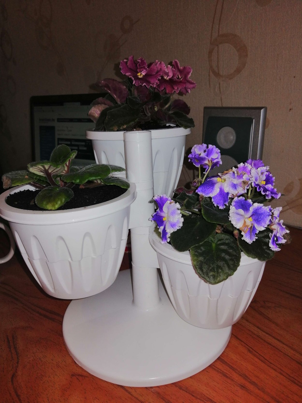 Кашпо Каскад для фиалок