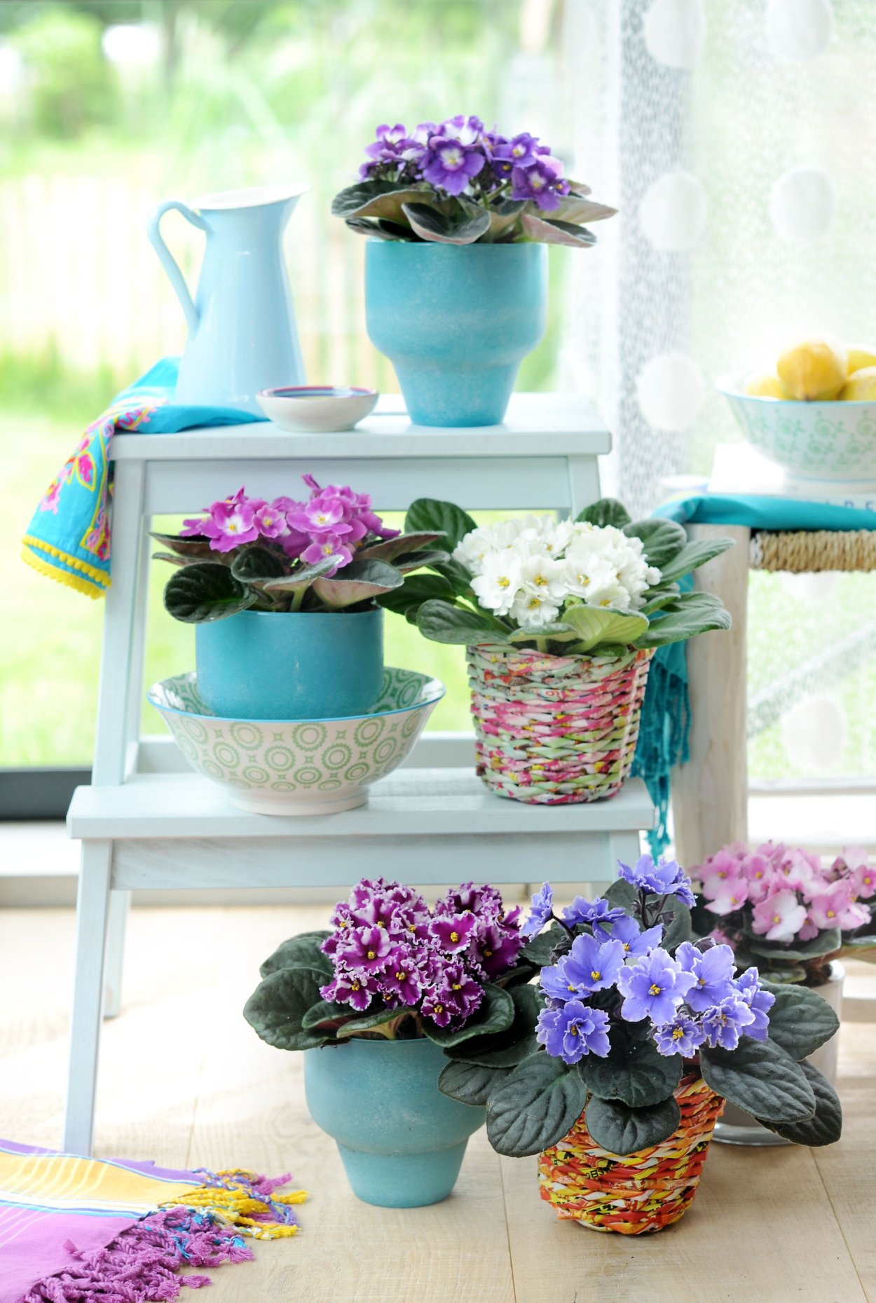 Фиалки в интерьере квартиры