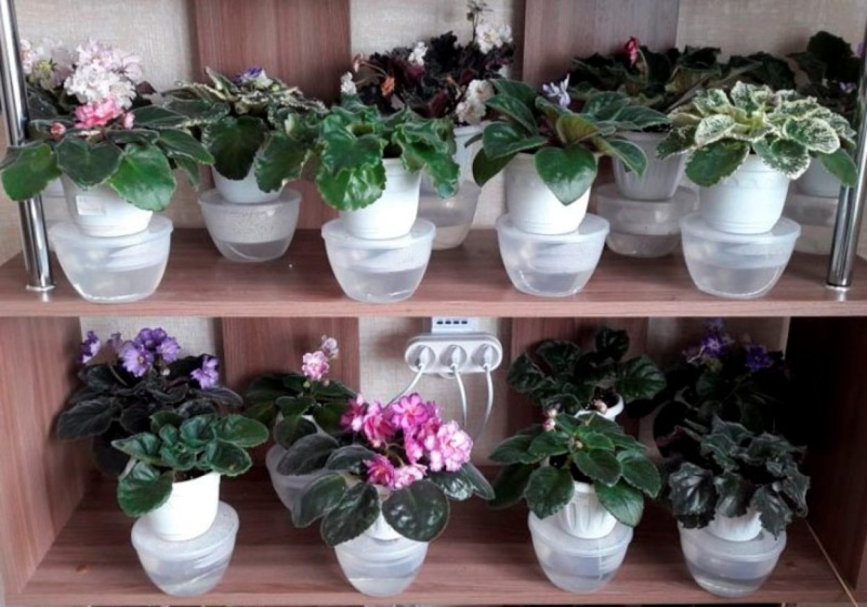 Горшок с фитильным поливом