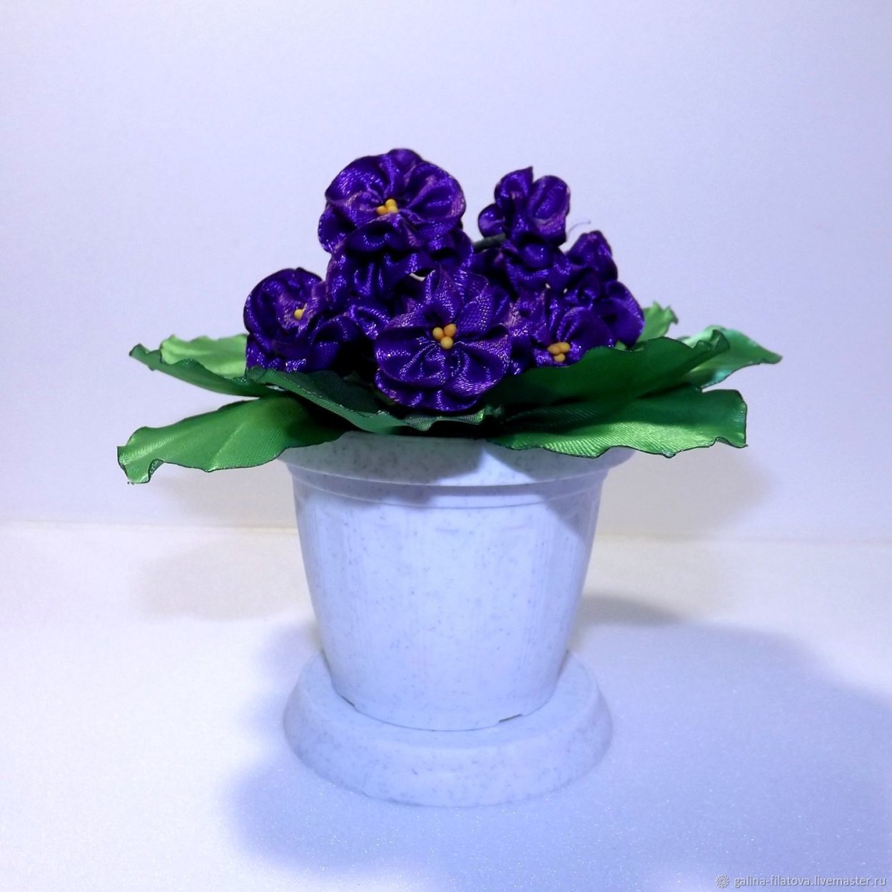 Фиалка Ле мышиный горшочек