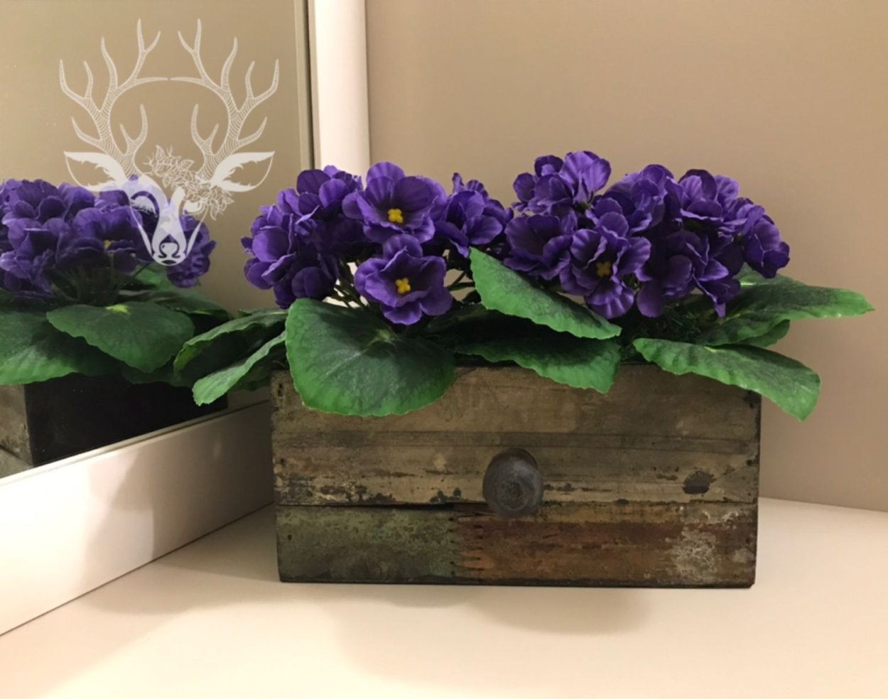 Фиалки в интерьере