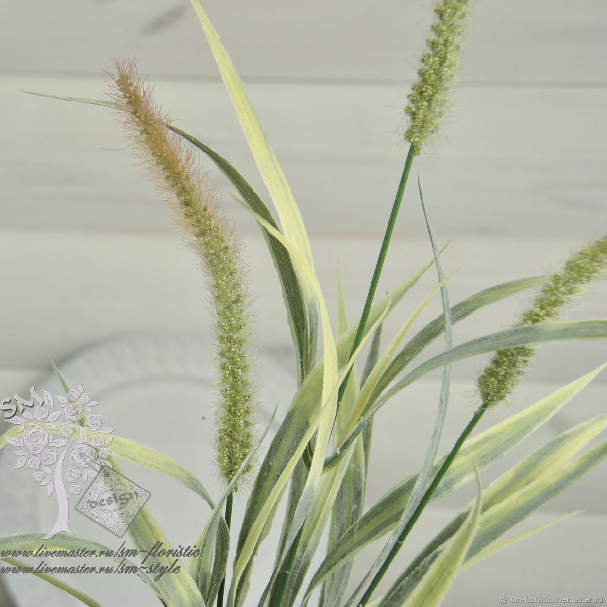 Сетария Лисий хвост