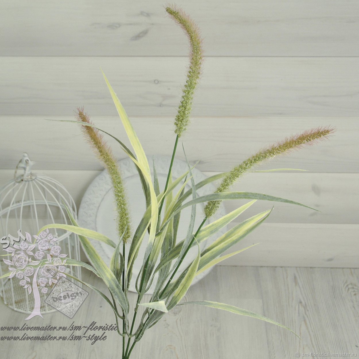 Щетинник Лисий хвост сухоцвет