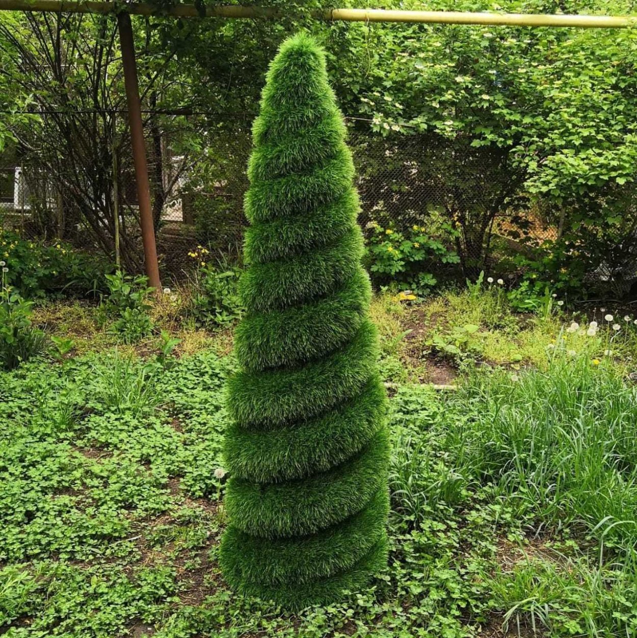 Топиарная стрижка туи Смарагд