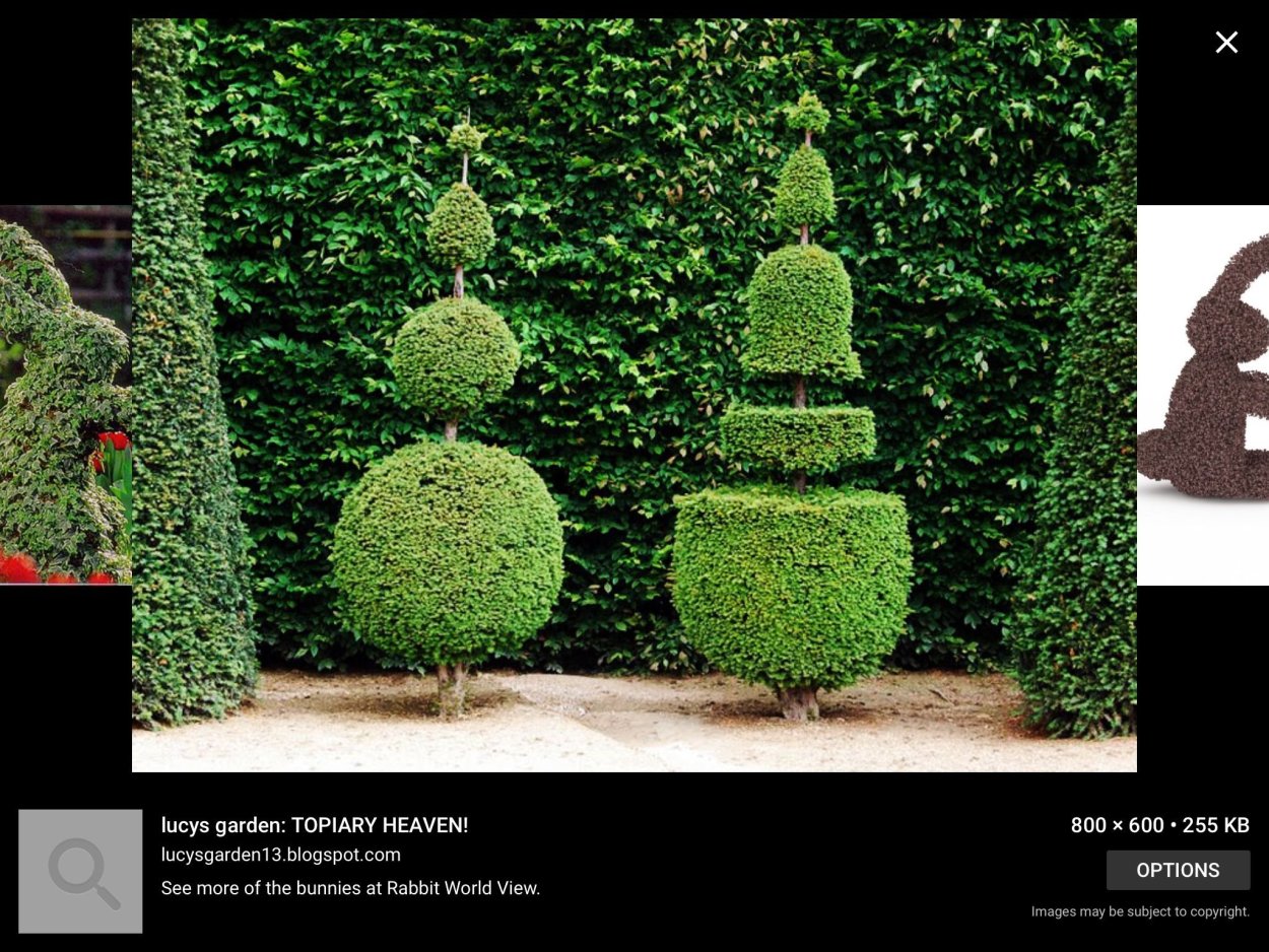 Туи Смарагд Топиар