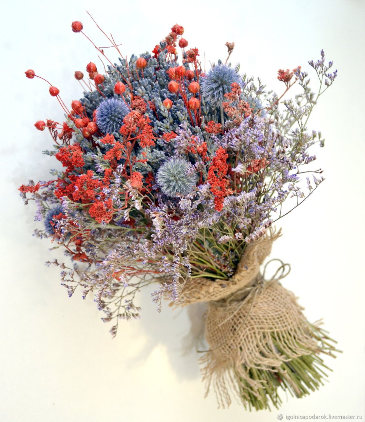 Мордовник сухоцвет