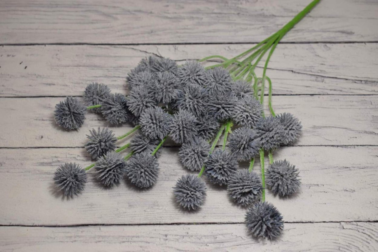 Мордовник сушеный