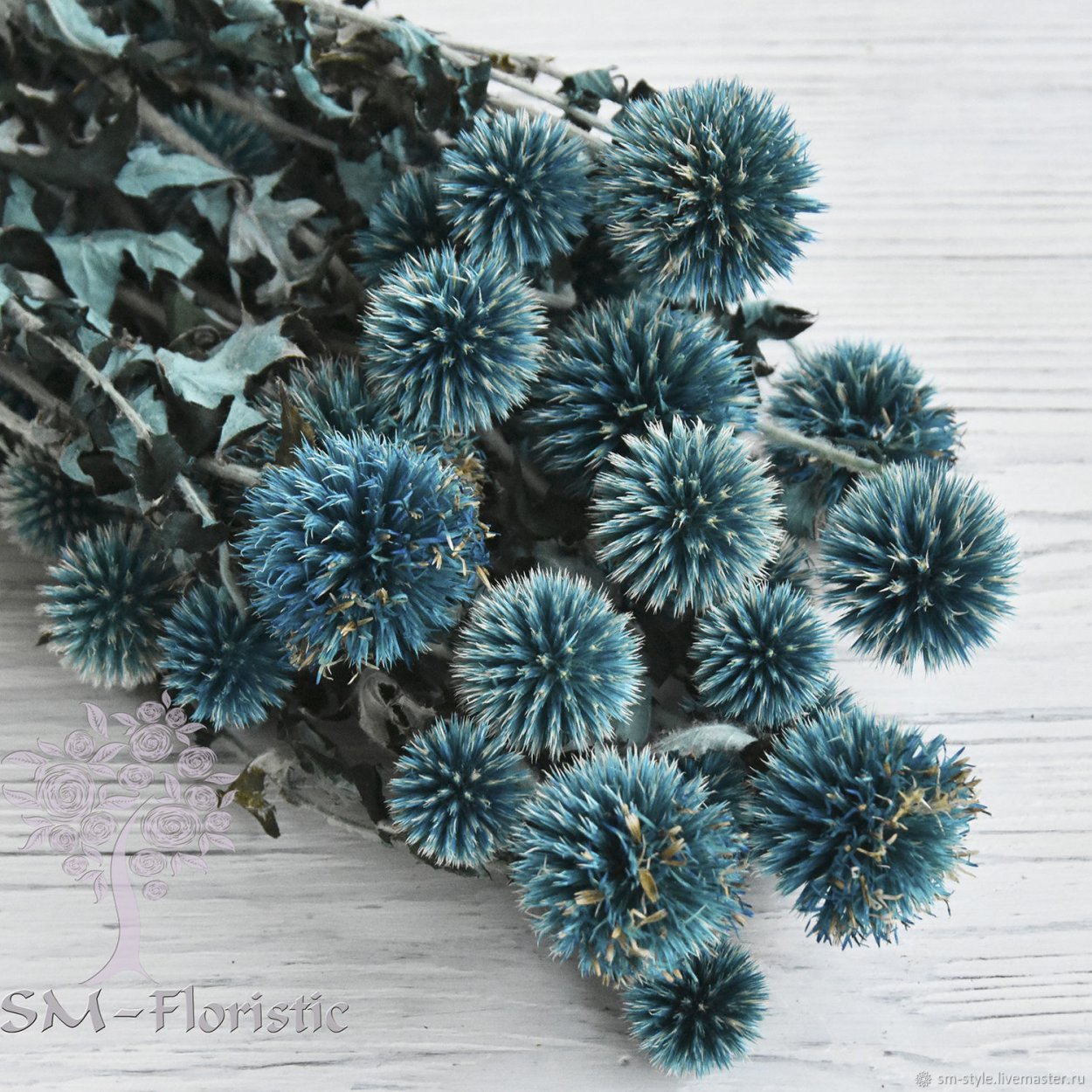 Мордовник обыкновенный сухоцвет