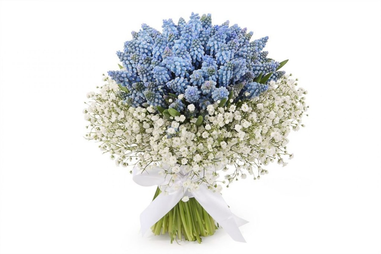 Статица и гипсофила букет