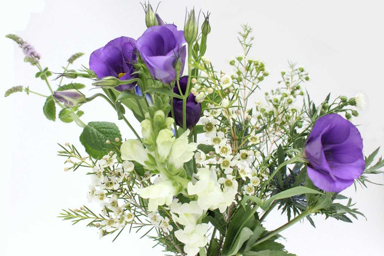 Эустома львиный зев