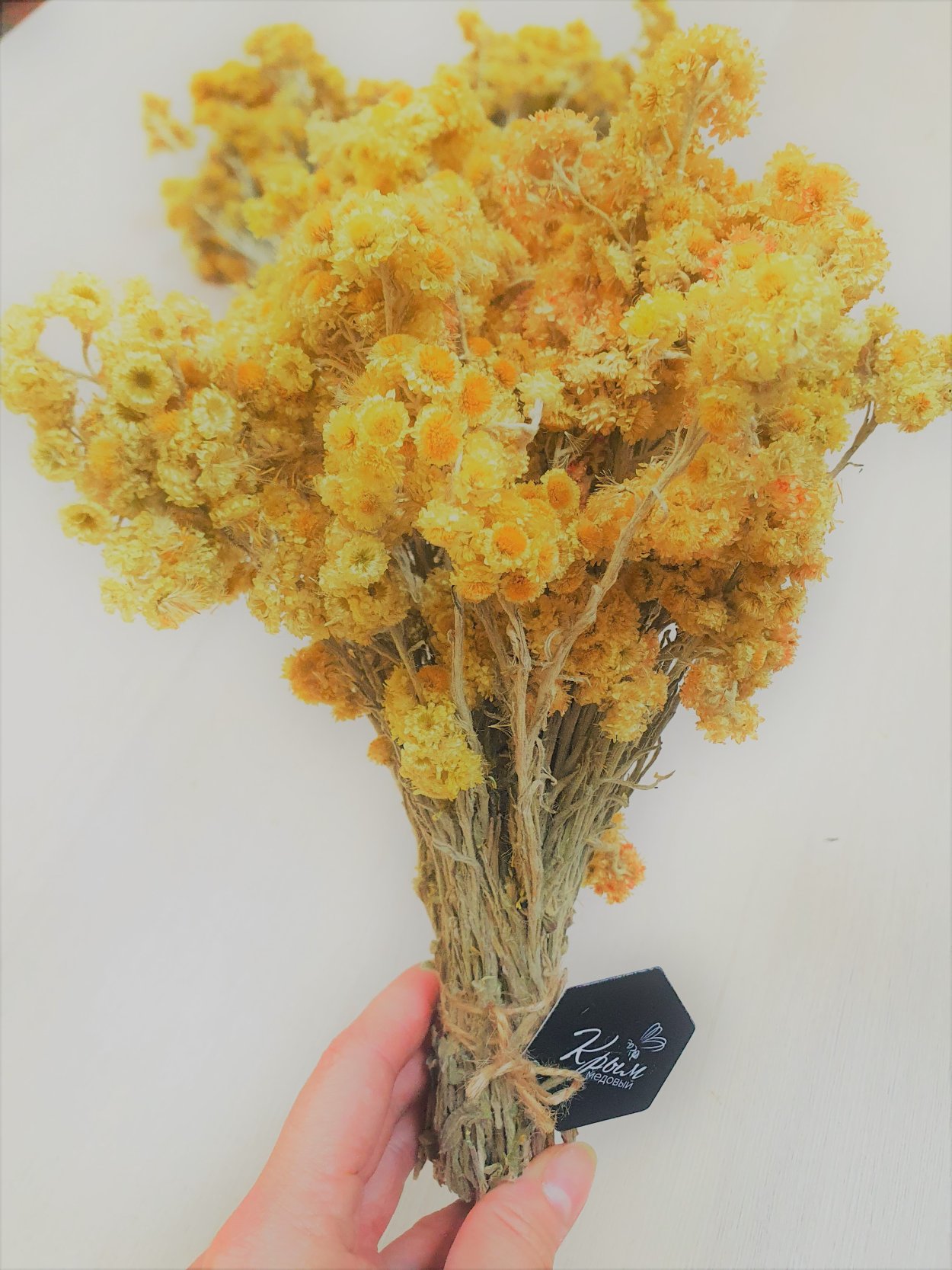 Бессмертник цветок засушенный