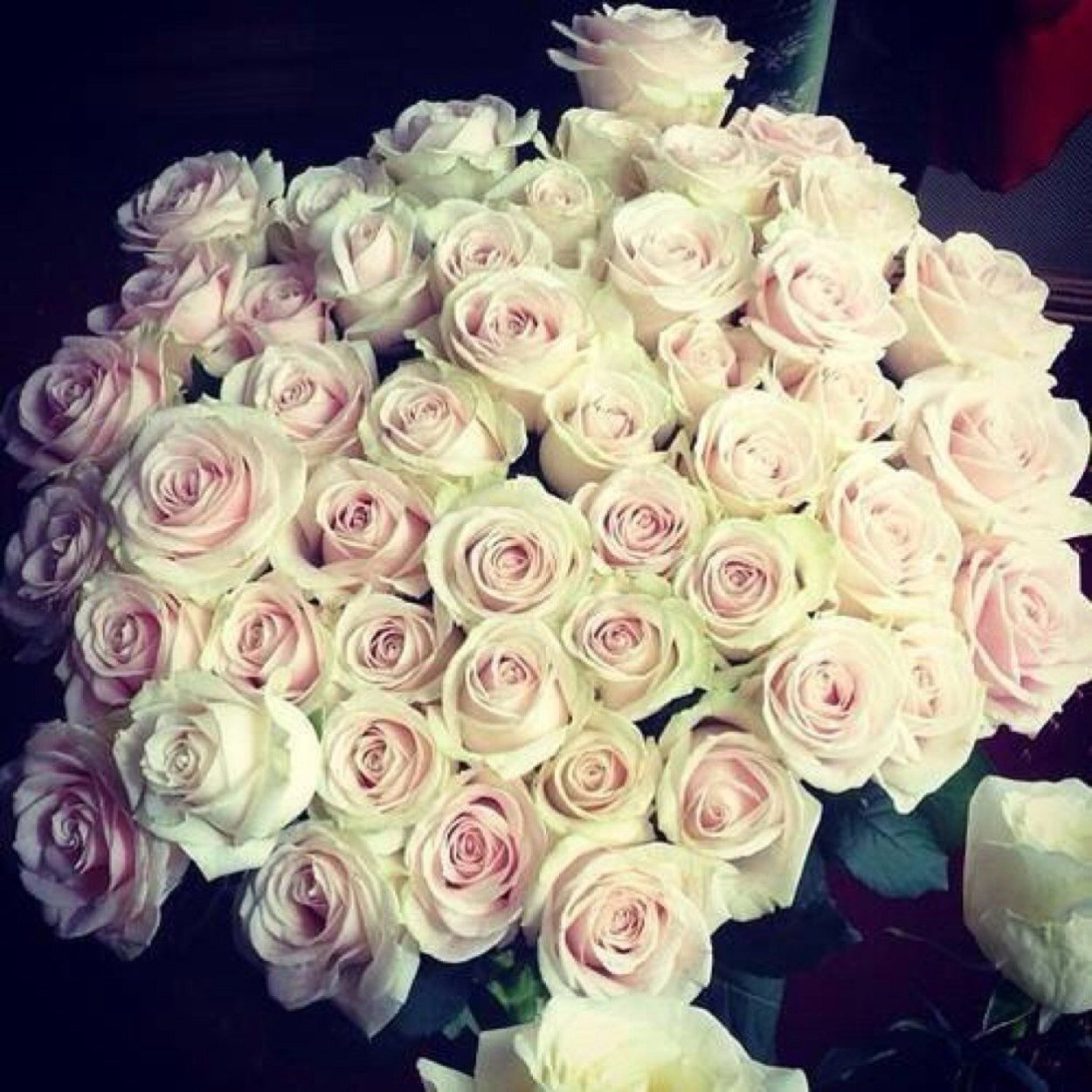 Розовые розы букет селфи