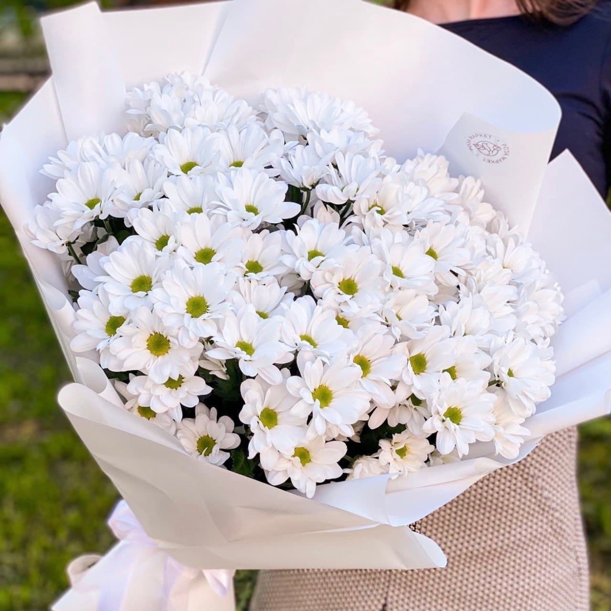 19 Веток ромашковый хризантем