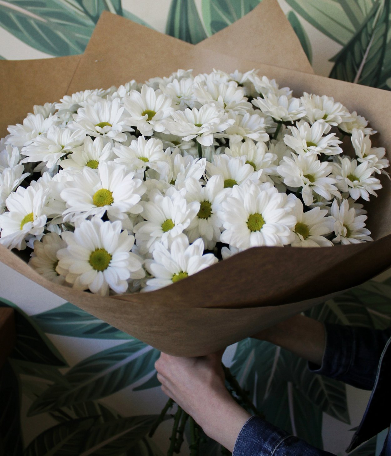 Хризантема Ромашковая белая