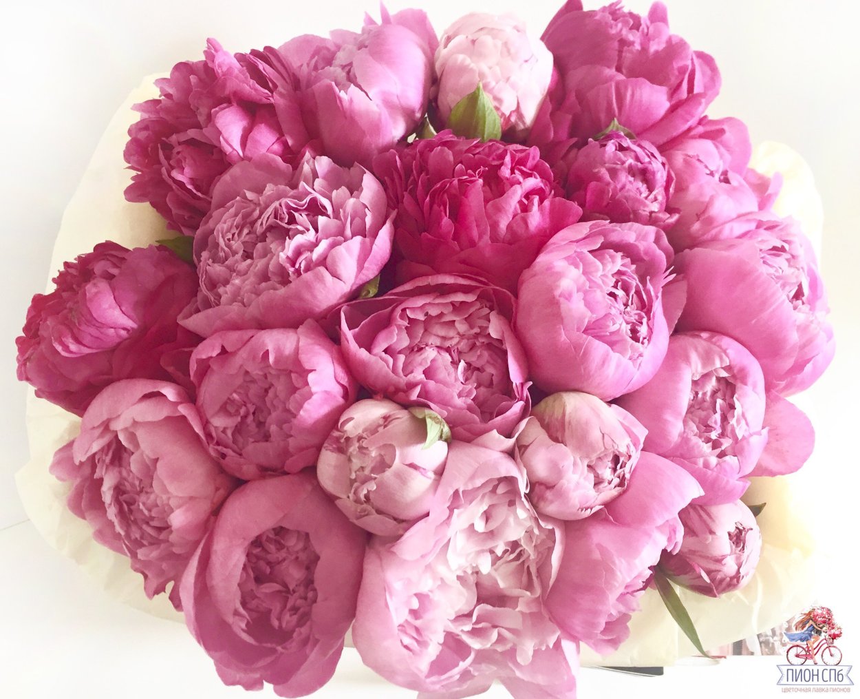 Пион букет sun407