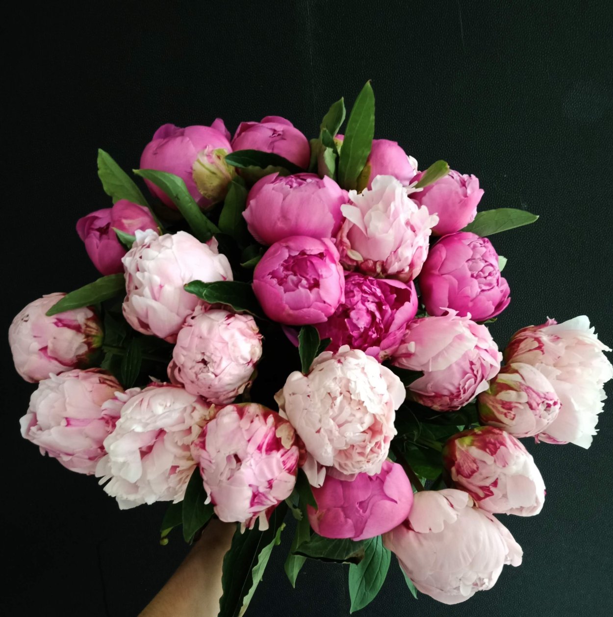 Пион розовидный