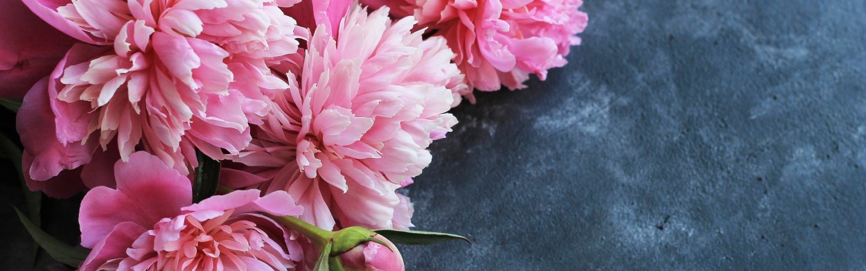 Красивые пионы