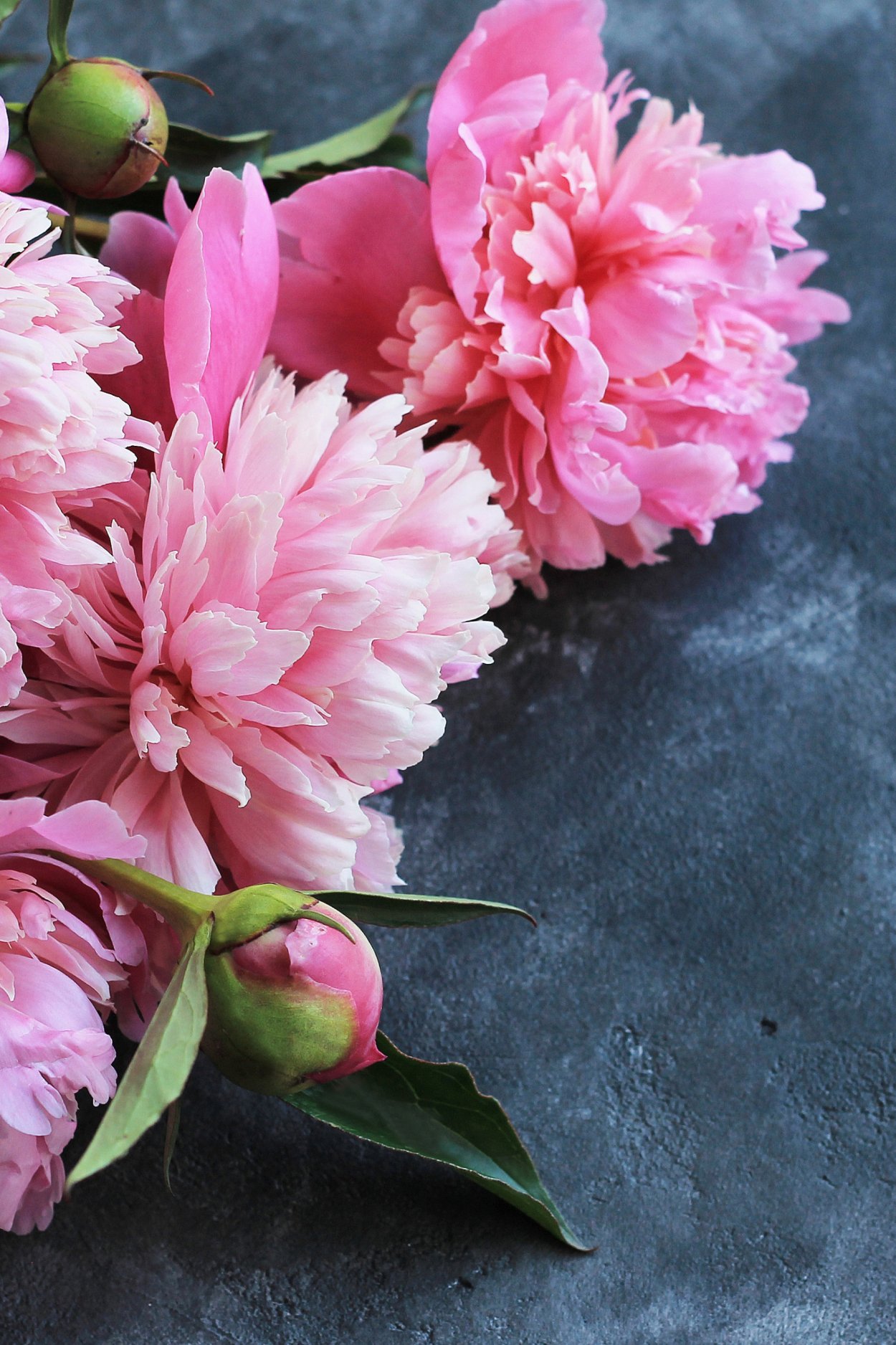 Пион на миндаль