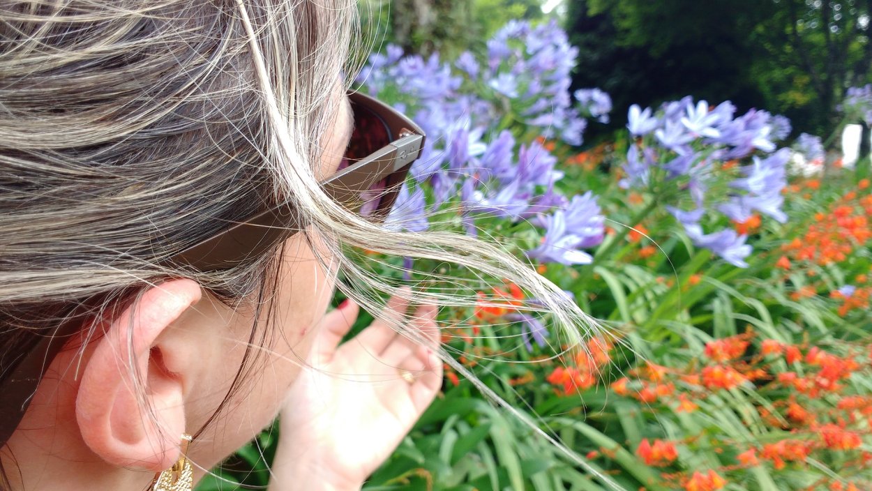 Цветок женские слезки