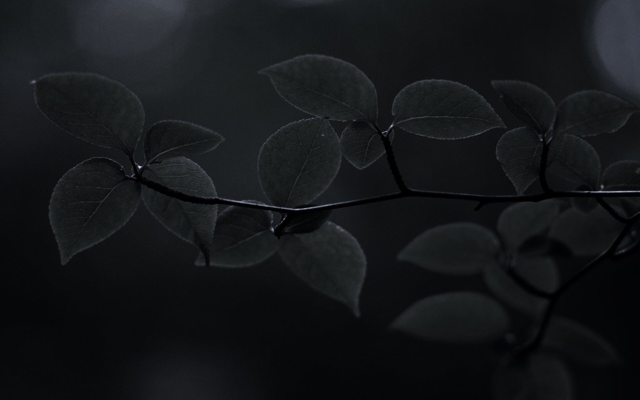 Обои на рабочий стол темные