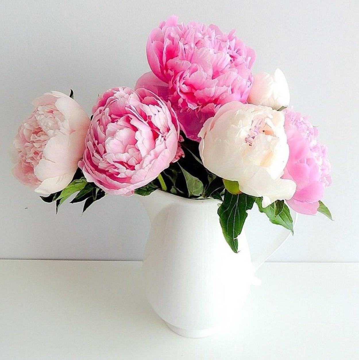 Пионы белые и розовые