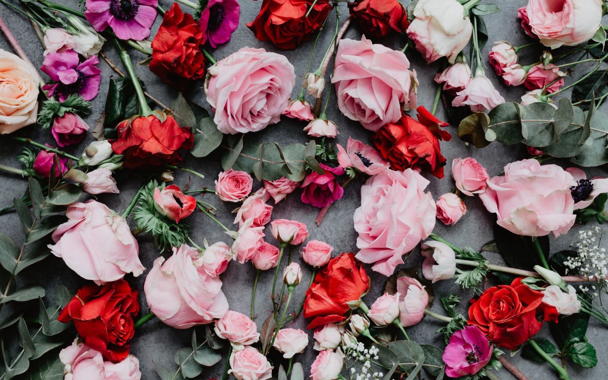 Красно розовые цветы