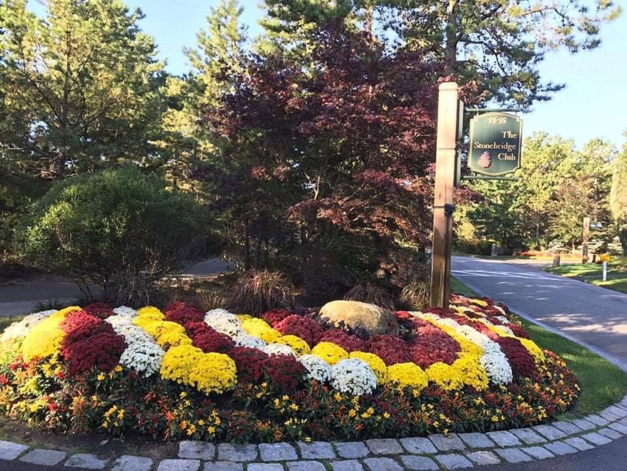 Примеры клумб с хризантемами