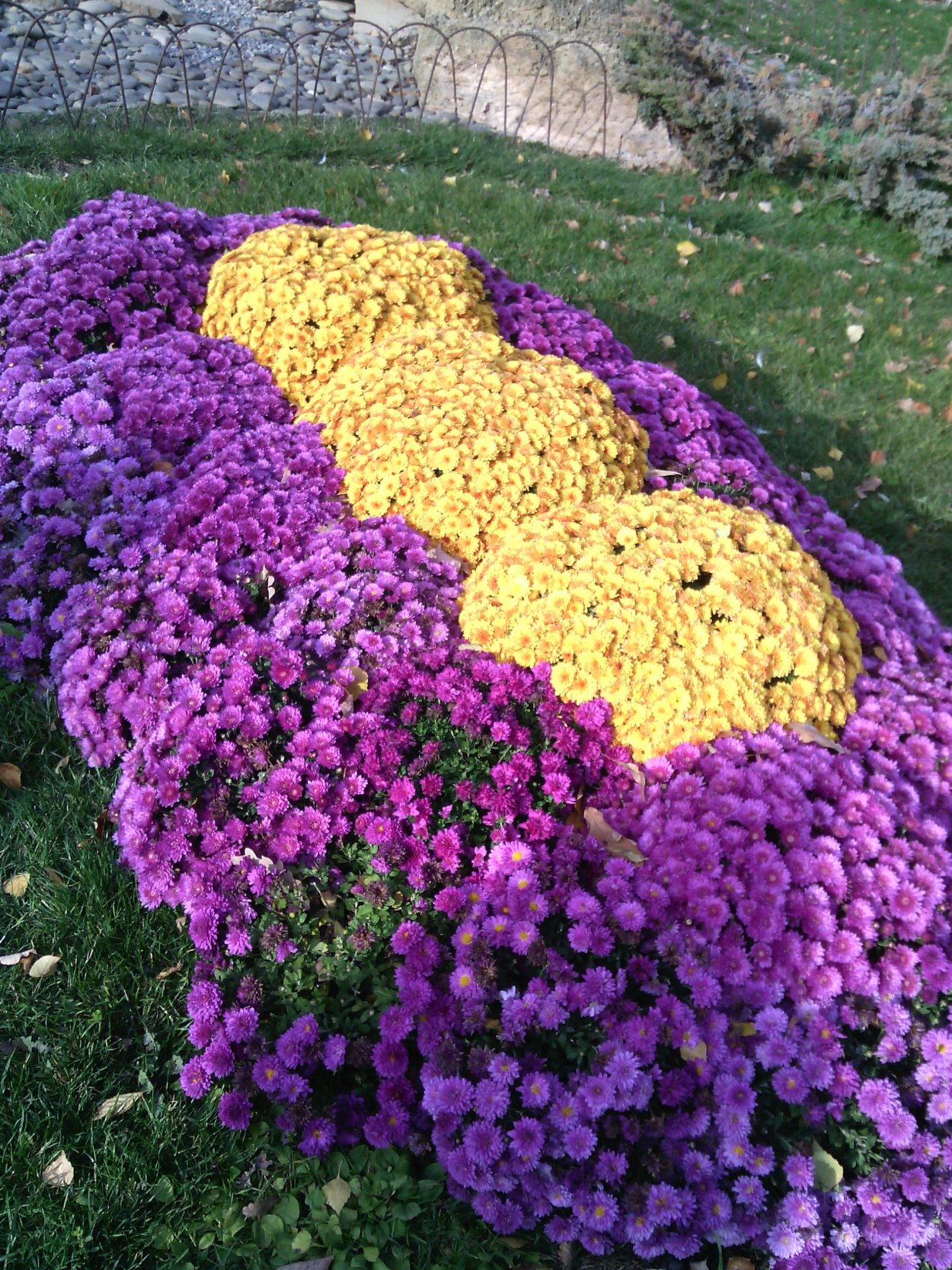 Парад хризантем 2022