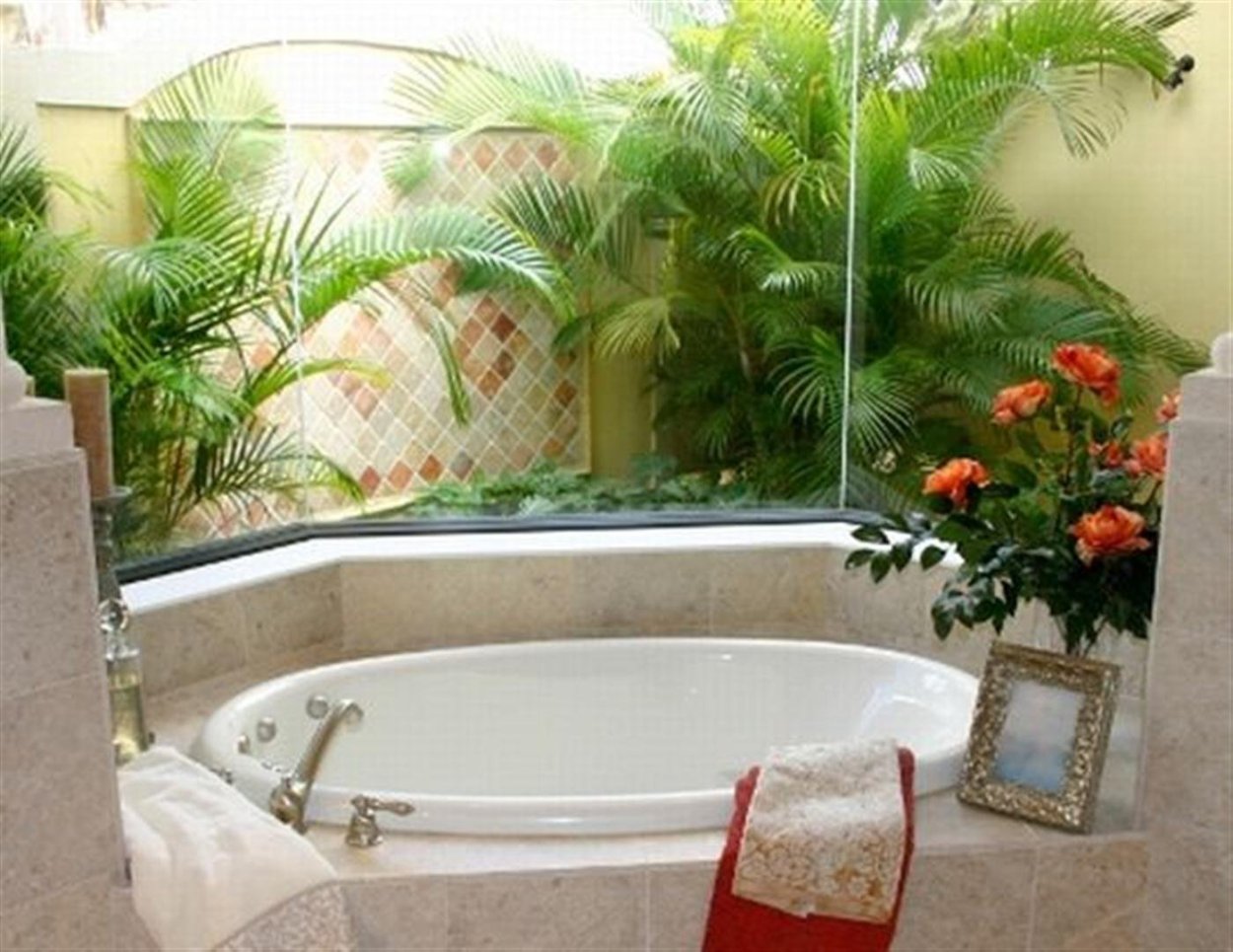 Растения в ванной комнате