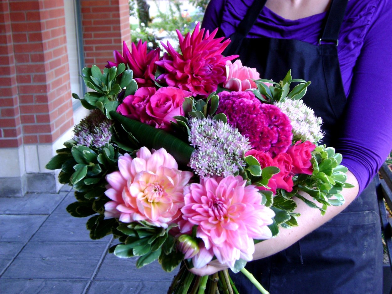 Пионы целозия