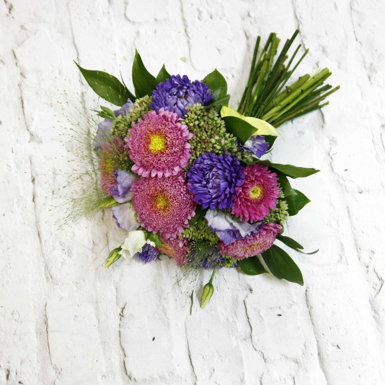 Астры букет циния