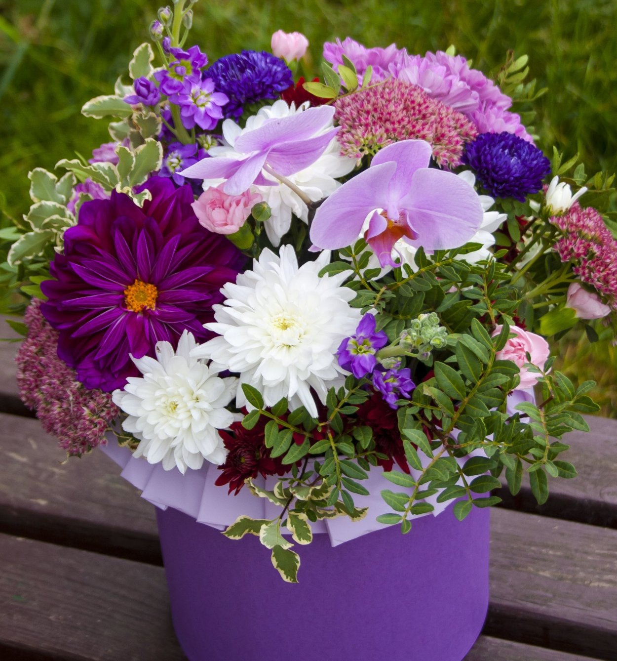 Астры сентябринки и хризантемы Дубки в ведрах