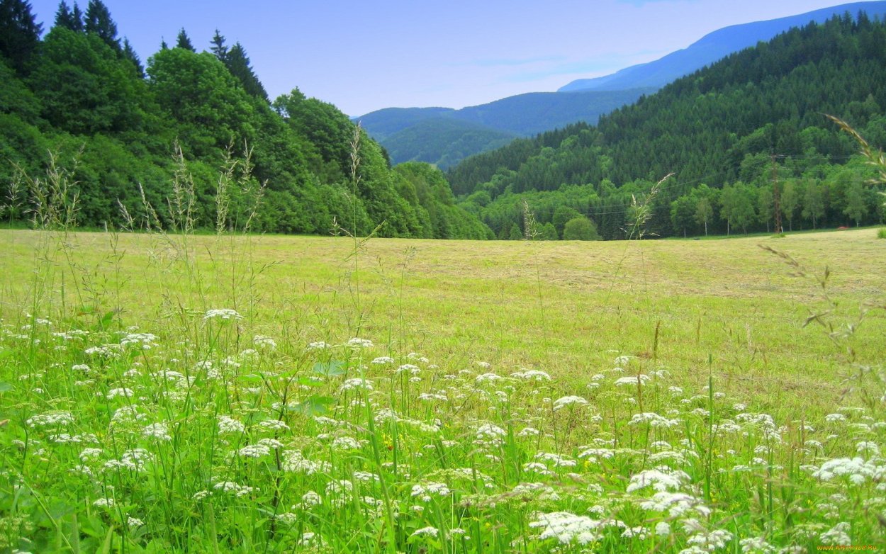 Природа Башкирии курай