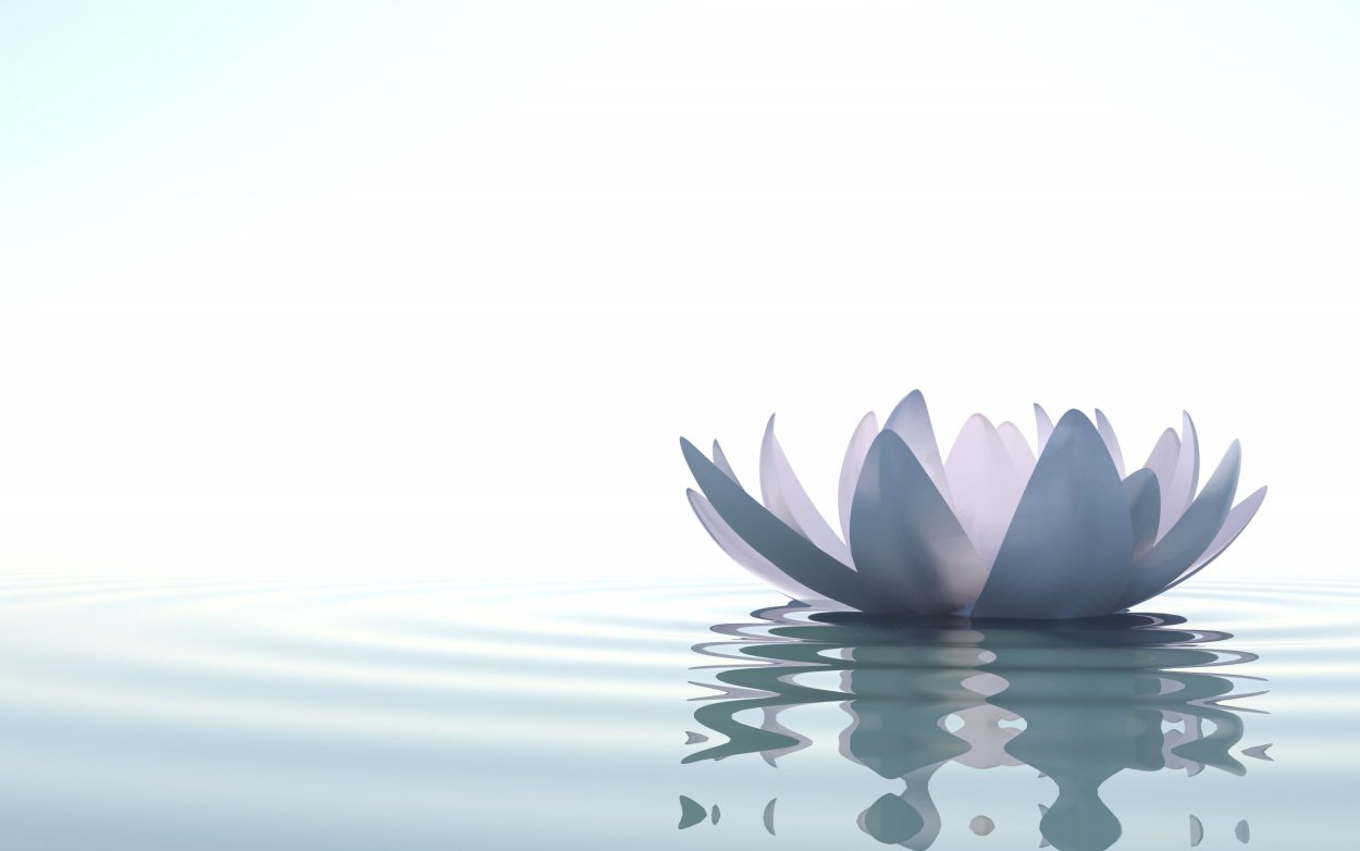 Лотос медитация