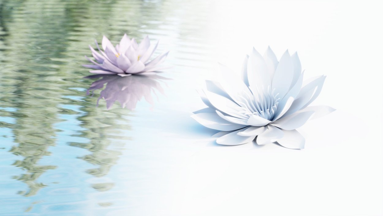 Лотос на Светлом фоне