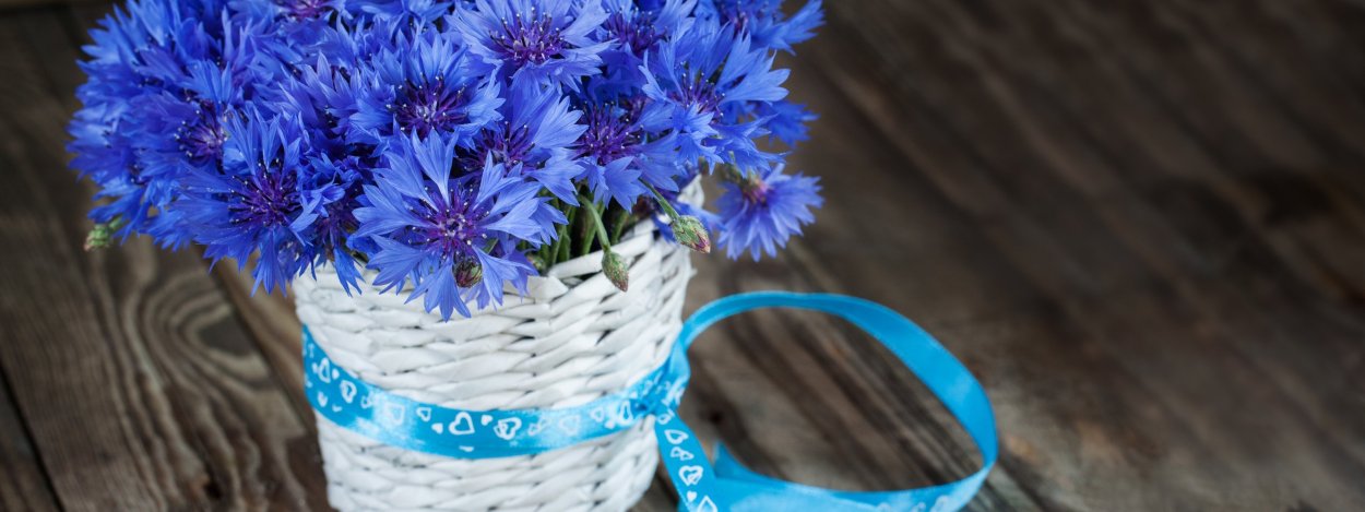 Васильки на столе