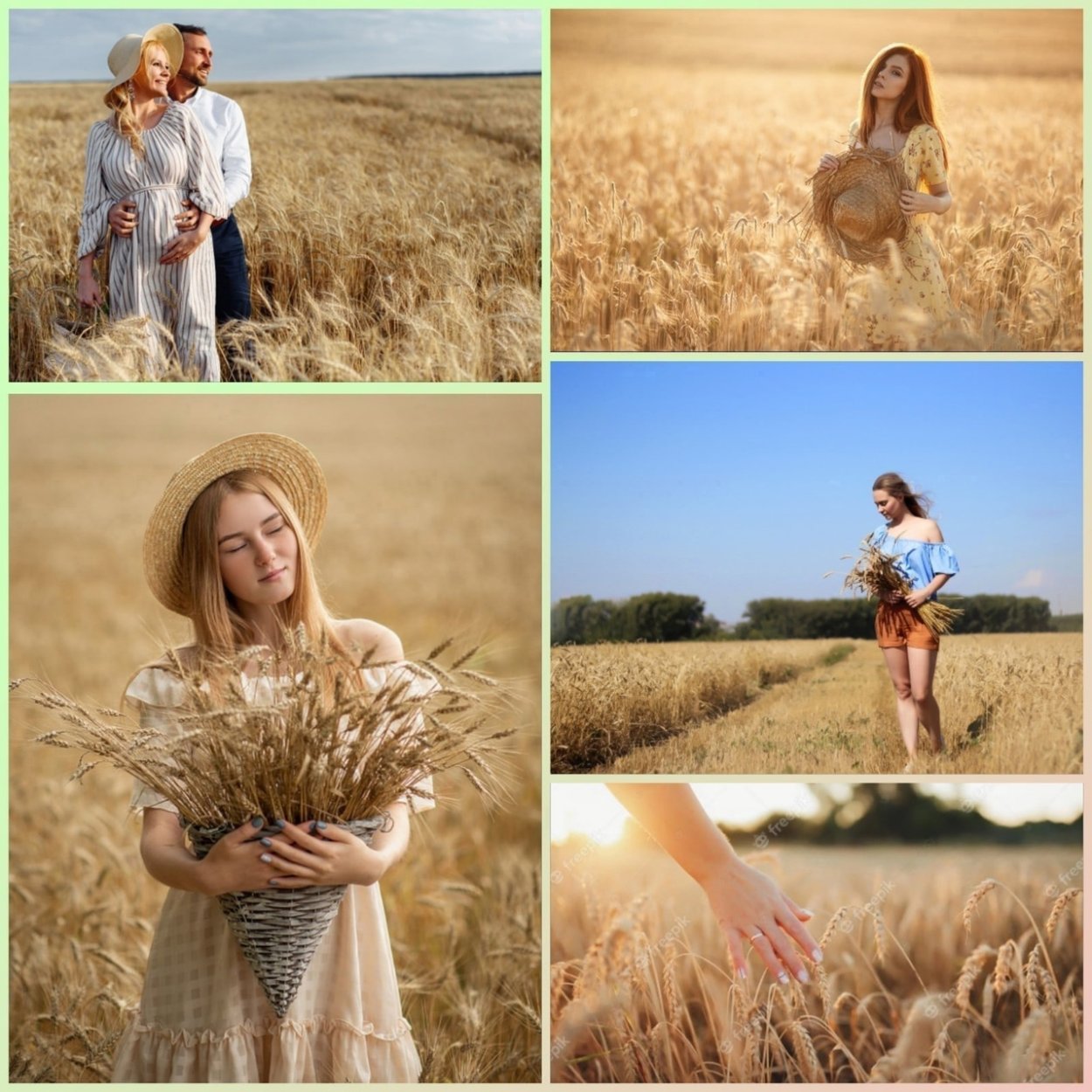 Фотосессия пикник в пшеничном поле
