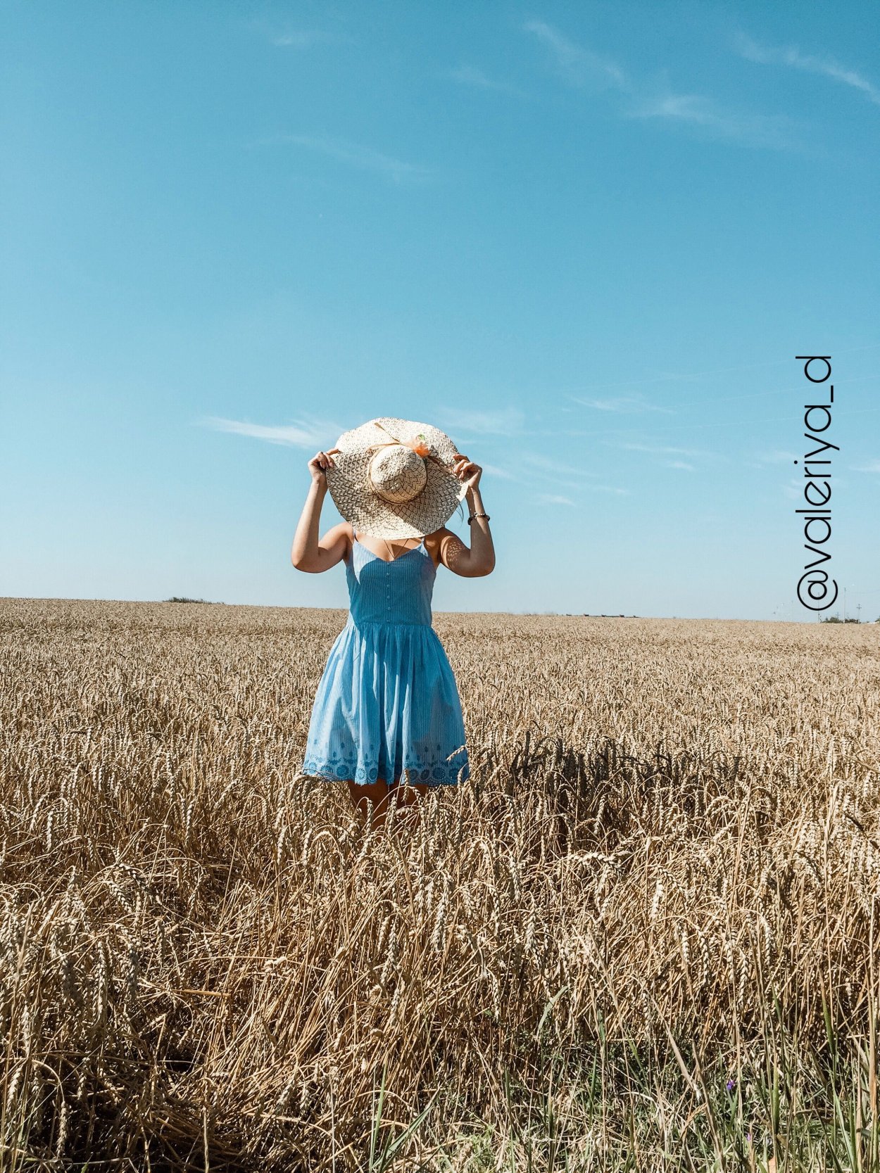 Девушка в пшеничном поле