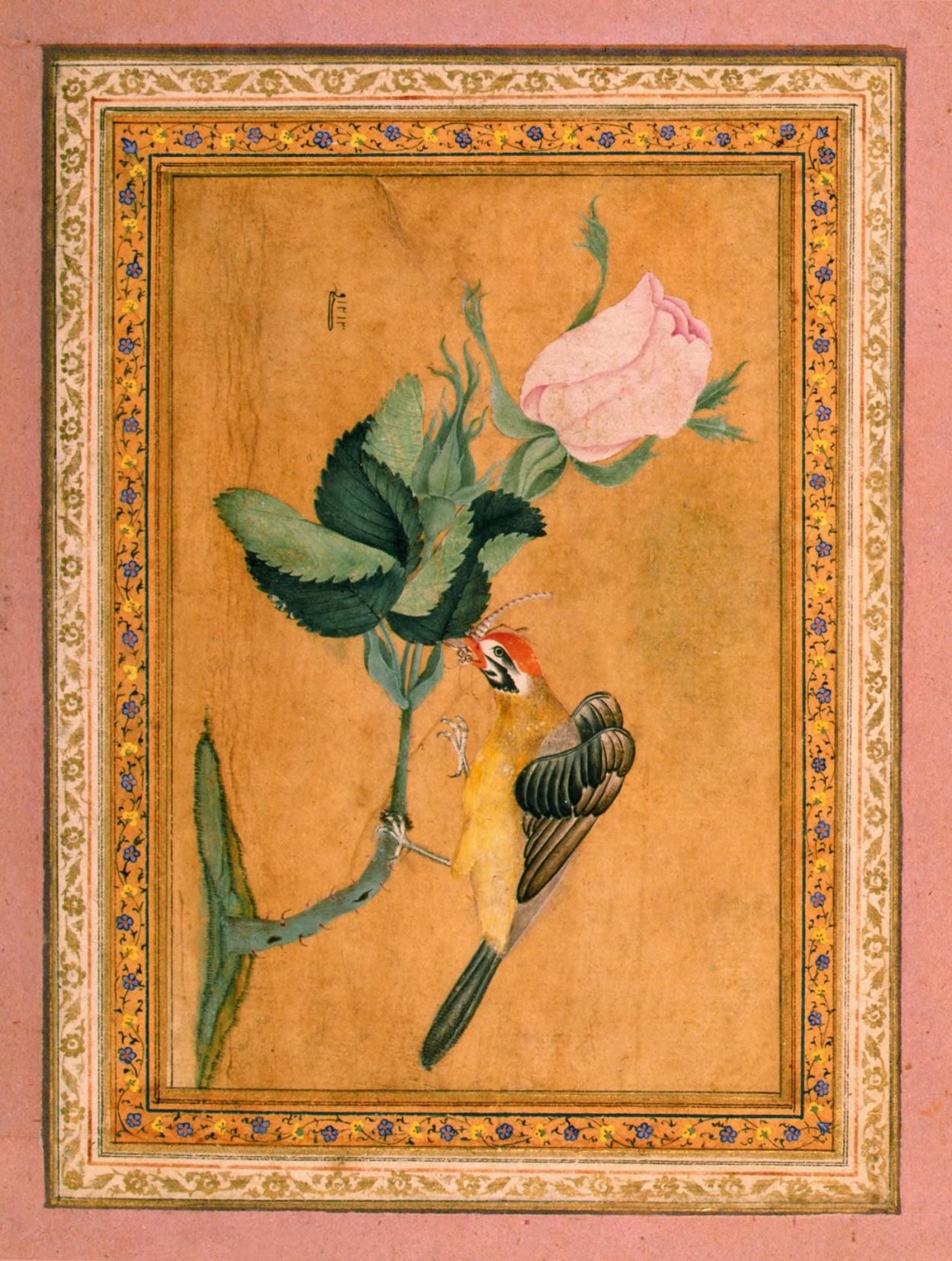 Персидская миниатюра цветы