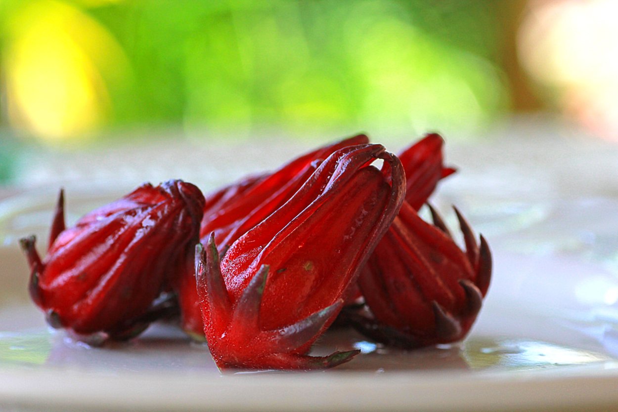 Каркаде бутон