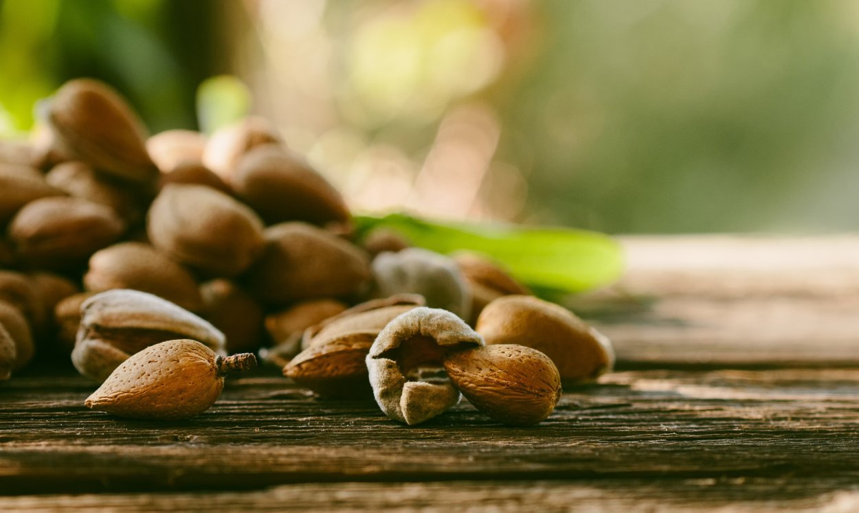 Миндаль орех красивый