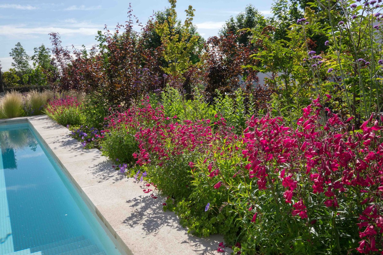 Озеленение в Мадриде