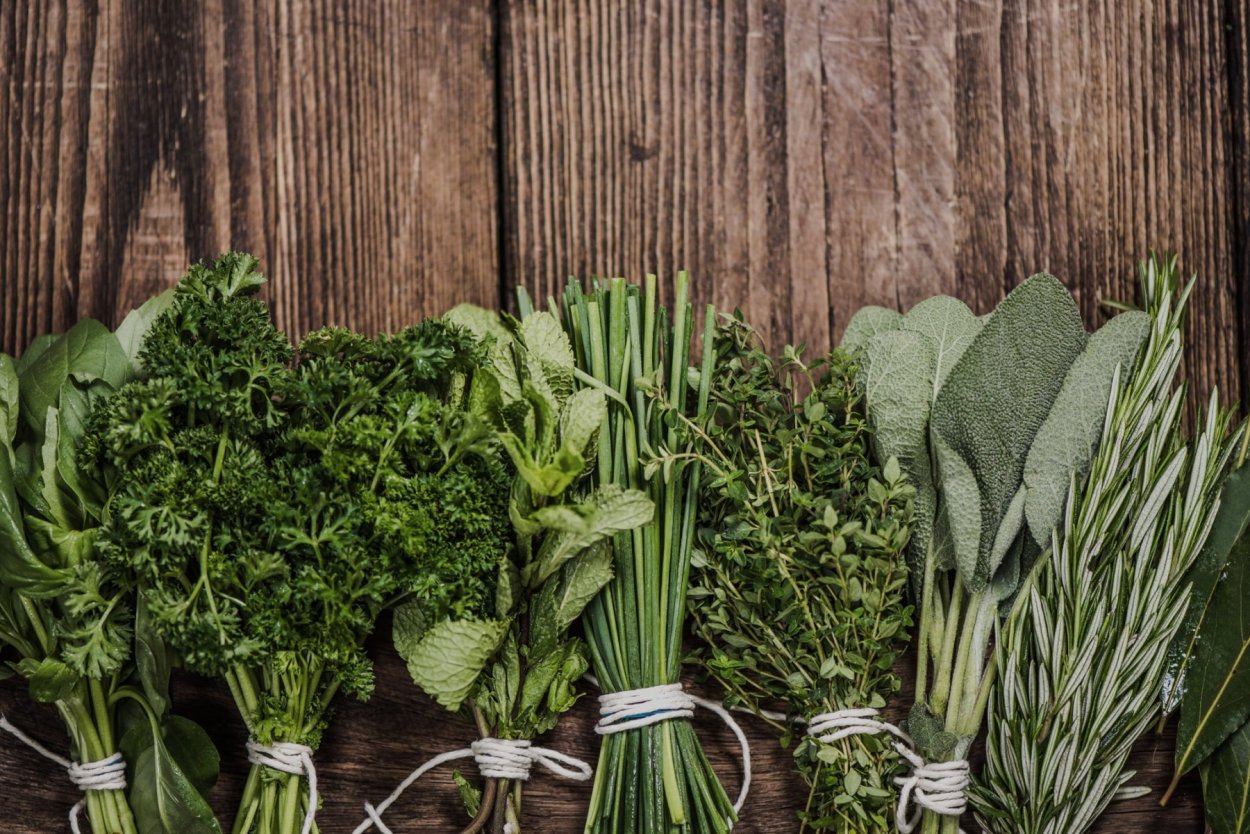 Пряные травы фитонциды