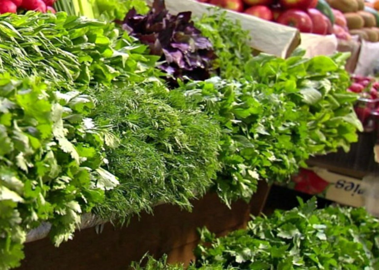 Петрушка базилик кинза